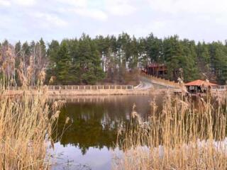 продаж ділянка під житлову забудову Фастівський, Дерев`янки, 59000 $