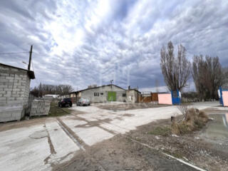 Depozit cu teren de 38 ari - asfaltat la doar 1,5€/mp! Baza ...