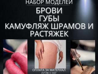 Набор моделей на перманент