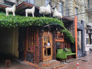 Оренда ресторану 200м2 в центрі Києва, вул.Шота Руставелі, 4