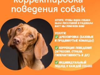 Кинолог в Тирасполе