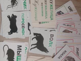 Карточки Зайцева