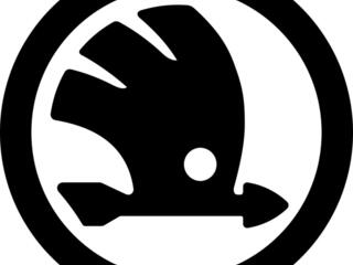 Новые Запчасти Skoda / Piese Skoda Noi Доставка! Рассрочка 0%!