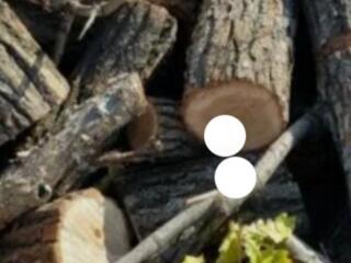 Распил дров