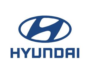Новые Запчасти Hyundai / Piese Hyundai Noi Доставка! Рассрочка 0%!