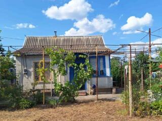 Продам летнюю дачу в г. Черноморск, с/о " Ветеран"/ ул. Дуко