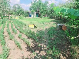 Продаются 2 земельных участка, соединенные между собой одним забором