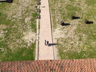 Куплю красную черепицу и коньки.