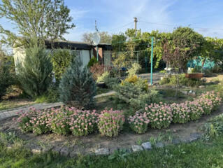 Продам дачу в с.Протопоповка (СТ  "Межлиманье", 15 км от ...