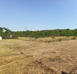 Дачный участок 20 соток на трассе Тирасполь-Одесса