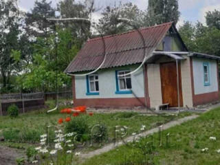 продаж 2-к будинок Броварський, Скибин, 15900 $