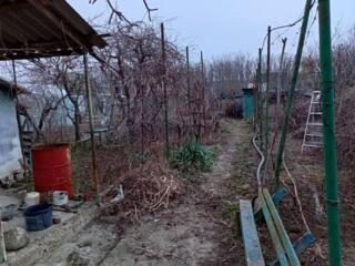 Дачный участок в г. Слободзея, СОТ: Изабэлла (район пляжа молд. част).