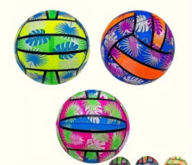 Пляжный мяч