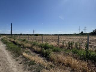 Большой участок возле реки