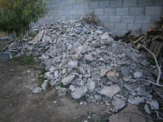 Отдам даром!