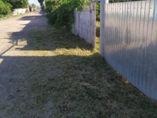 Карагаш участок 15 соток