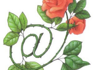 Barbat, fac cunostinta cu o doamna libera, atragatoare, serioasa