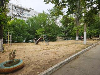 Чешка на Борисовке