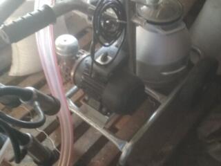 Mulgatoare pentru vaci