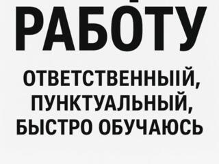 Студент ищет работу