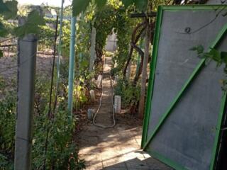 Продается участок в ООА "Сотка" с. Меренешты  