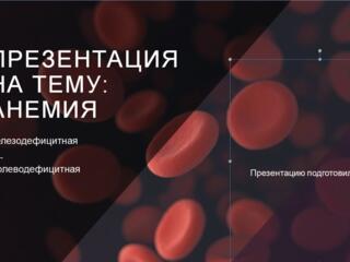 Презентации, доклады, рефераты