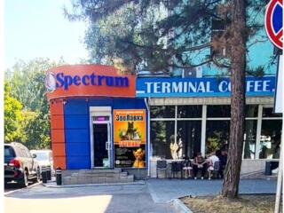 Профессиональный ГРУМИНГ.