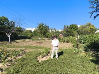 Продаётся огород на БАМе 6,5 соток