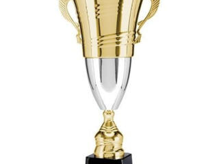 Предлагаем Вам спортивно-наградную продукцию в ассортименте-кубки.