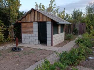 Породам дачу, 100 метров Днестр, лес