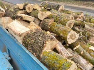 Продам дрова