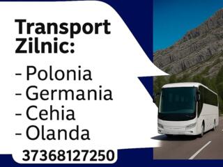 Пассажирские перевозки Польша – Молдова