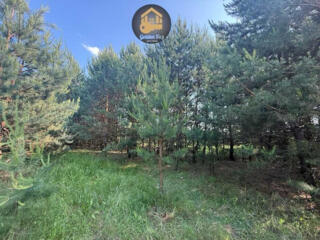 продаж ділянка сільськогосподарського призначення Бориспільський, Гнід