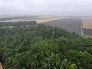 25530 Продам однокомнатную квартиру в ЖК ...