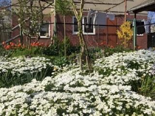 Продам кирпичный дом с. Молодежное/ СК Восход