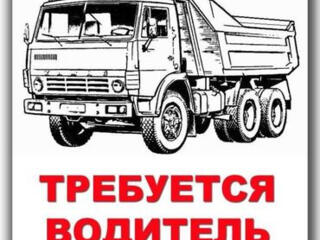 Требуется водитель на КамАЗ (С, Е) от 8000 р. /9000р.