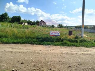 Teren pentru Construcție – 12 Ari în Țînțăreni, Anenii Noi