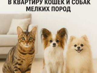 Передержка домашних животных