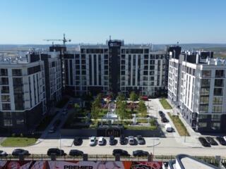 Colina Verde o camera transa trei