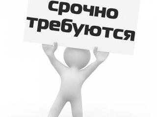 Требуется бармен-оператор девушка от 25 до 45 лет