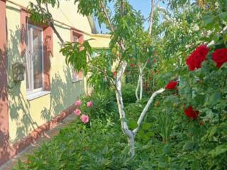 Продается уютный дом в Беляеве!Предлагается к продаже добротный ...