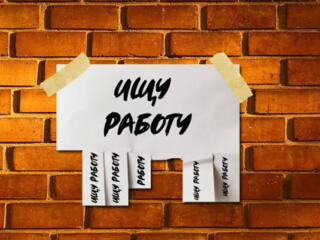Ищу работу.