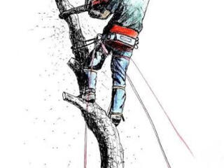 Спилим ваши деревья