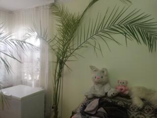 Продаётся все.