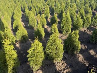 Pentru mai multe detalii şi reduceri 
