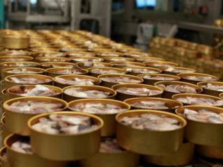 Завод по производству продуктов из рыбы, салатов и паст. Европа.