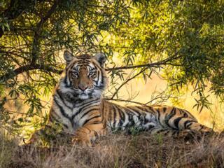 Строительство ремонт