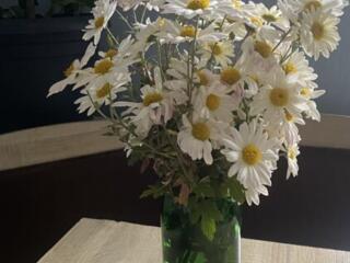 Помогу ребёнку с уроками