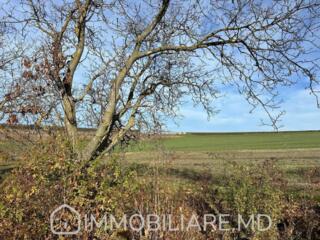 Teren agricol, com. Tohatin Vă propunem spre vânzare un teren agricol 