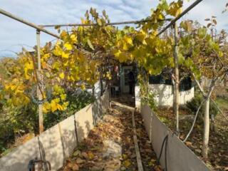 Продам дачный участок